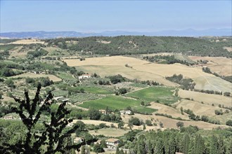 Hilly fields near Pienza, Val dOrcia, Tuscany, Italy, Europe