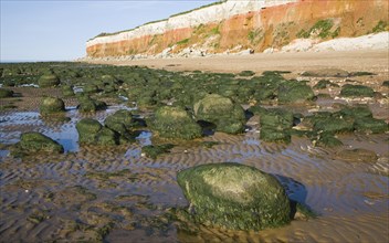 Chalk, red chalk and carstone form striped cliffs of white, red and orange at Hunstanton, Norfolk,