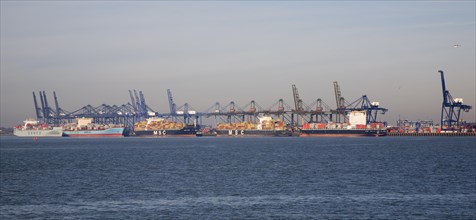 Container cranes on the quayside, Port of Felixstowe, Suffolk, England, United Kingdom, Europe