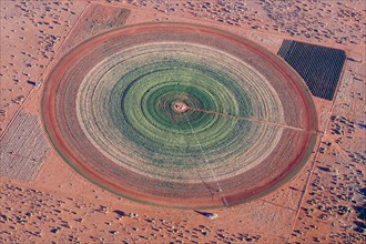 Aerial photo, circular field in the Kalahari desert, agriculture, irrigation, groundwater, alfalfa,
