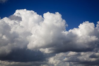 Heavy cumulus clouds low in blue sky, UK