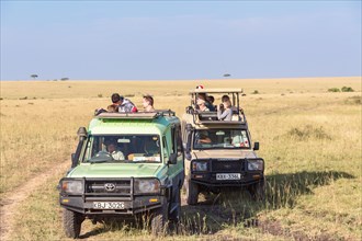 Tourists in safari cars watching and photographing the wildlife on the savanna, Maasai Mara, Kenya,