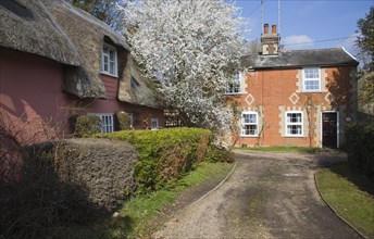 Blackthorn blossom and pretty country cottages, Grundisburgh, Suffolk, England, United Kingdom,