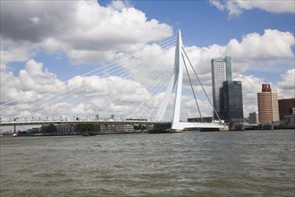 Erasmusbrug, Erasmus Bridge, spanning the River Maas, Rotterdam, Nethrlands