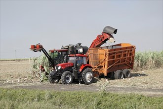 Sugar cane harvest with tractor and machine, near Santiago de Cuba, Cuba, Central America