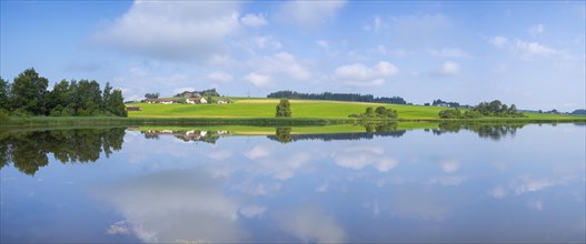 View over the Sachsenrieder Weiher in the morning, Panorama, Lake, Dietmannsried, Oberallgaeu,