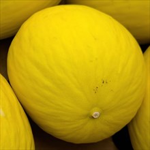 Honeydew melon on display in grocery shop grocery retailer supermarket, Germany, Europe
