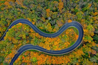 Aerial view over empty winding road, hairpin turn, hair pin bend running through forest showing