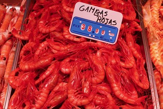 Fresh prawns are sold in the Malaga fish market, 12/02/2019