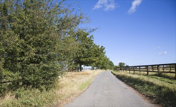 Quiet country road with hedgerow and fence, Ewarton, Suffolk, England, United Kingdom, Europe