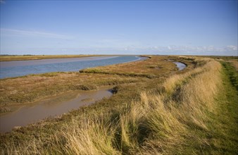 Mudflats and saltings vegetation on the tidal Butley Creek rivers, Suffolk, England, United
