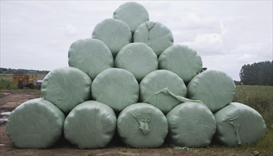 Pile of green plastic bags storing grass for silage