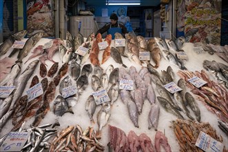 Trader, fishmonger working in his market stall, display of fresh fish and seafood on ice, Food,