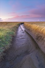Water ditch in the polder area on the North Sea, portrait format, evening light, sunset, Dorum,