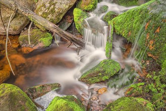 Close-up of a waterfall with a tree trunk protruding into it, long exposure, moss, Harz Mountains,