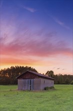 Barn in a meadow, sunset, evening light, portrait format, Eilvese, Neustadt am Ruebenberge,