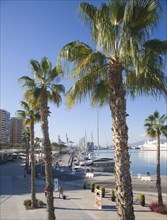Palm trees in new port development Muelle Uno in Malaga city, Spain, Europe