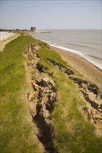 Rapid coastal erosion of crumbling soft cliffs at East lane, Bawdsey, Suffolk, England, 2012