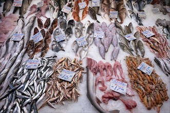 Display of fresh fish and seafood on ice, fishmonger, food, Kapani Market, Vlali, Thessaloniki,