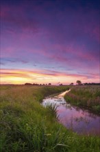 Landscape photo of a moat at sunset, wind, portrait format, evening light, landscape photography,
