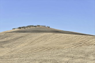 Tuscan landscape south of Pienza, Tuscany, Italy, Europe
