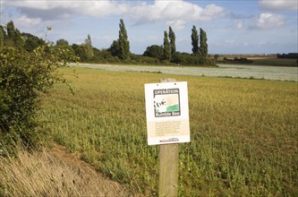 Operation Bumble Bee sign on by field, Suffolk, England a scheme to promote insect habitat in