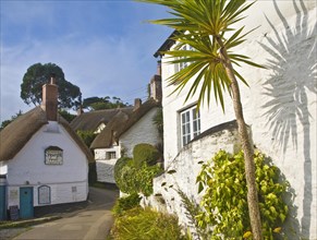 Pretty traditional thatched cottages in the village of Helford village, Cornwall, England, United