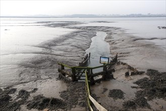Drainage sluice channel on the River Deben at low tide, Sutton, Suffolk, England, United Kingdom,
