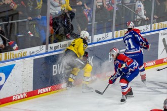 23.02.2024, DEL, German Ice Hockey League, Matchday 48) : Adler Mannheim (yellow jerseys) against