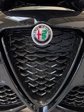 Radiator grille Scudetto with coat of arms emblem Logo of Alfa Romeo with parts of coat of arms of