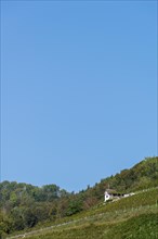 Stein am Rhein, vineyard, hut, blue sky, Canton Schaffhausen, Switzerland, Europe