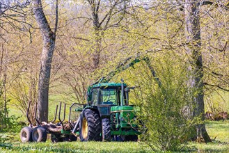 Tractor with a wagon in a deciduous forest in the spring for forest work