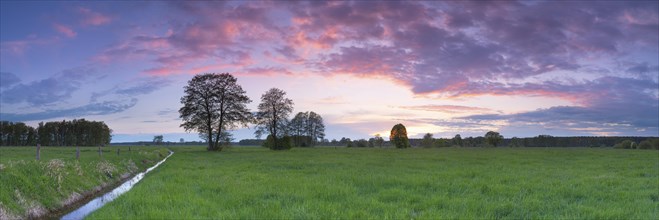 Sunset over a meadow landscape with ditch and trees, panorama, landscape photography, nature