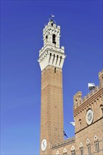 View of the Torre del Mangia bell tower, Siena, Tuscany, Italy, Europe