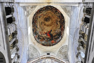 Ceiling vault, ceiling painting, frescoes, cathedral, Piazza Dei Miracoli, Pisa, Tuscany, Italy,