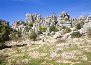 Dramatic limestone scenery of rocks shaped by erosion and weathering at El Torcal de Antequera