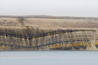Sea cliff showing limestone and sandstone strata from the Permian period along the Hinlopen Strait,