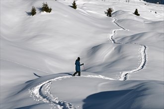 Snowshoe hiking in the Beverin nature park Park, Graubuenden, Switzerland, Europe