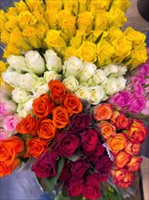 Bouquet of roses several bouquets of roses in sales display in colour yellow white red purple