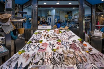 Trader, fishmonger working in his market stall, display of fresh fish and seafood on ice, Food,