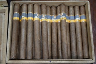 Selection of original Cuban cigars, tourist shop, Santa Clara, Cuba, Central America, America,
