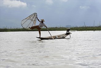 Intha fisherman, local man fishing with traditional conical fishing net, Inle Lake, Burma, Myanmar,