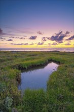 Small pond in the polder area on the North Sea, portrait format, evening light, sunset, Dorum,
