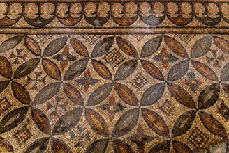 Floor mosaic, Baptistery of San Giovanni Battista next to Basilica di Santa Eufemia, Citta vecchia,