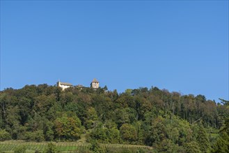 Stein am Rhein, Hohenklingen Castle, mountain, vineyard slope, blue sky, Canton Schaffhausen,