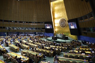 Plenary session of the United Nations General Assembly on 'AeRThe situation in the temporarily