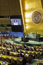 Plenary session of the United Nations General Assembly on 'AeRThe situation in the temporarily