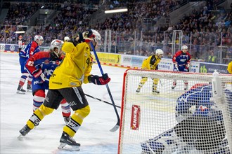 23.02.2024, DEL, German Ice Hockey League, 48th matchday) : Adler Mannheim (yellow jerseys) against