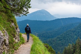 A hiker on a mountain path surrounded by green trees with a view of forested mountains under a