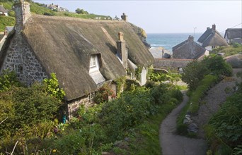 Thatched cottages in the historic and attractive fishing village of Cadgwith Cobve on the Lizard
